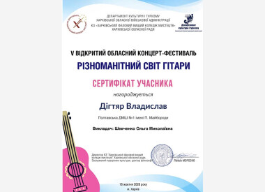 Різноманітний світ гітари
