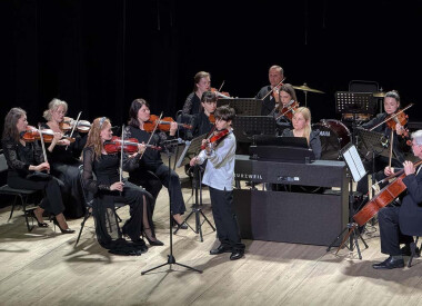 Мистецький проект "Майстри і молодь"