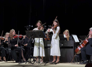 Мистецький проект "Майстри і молодь"