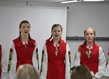 Звітні 1 день