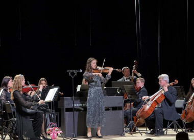 Мистецький проект "Майстри і молодь"