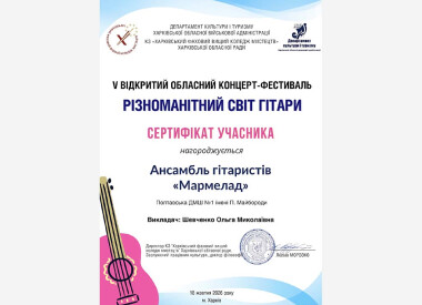 Різноманітний світ гітари