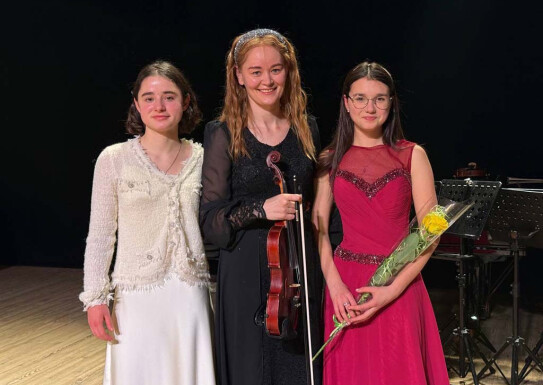 Мистецький проект "Майстри і молодь"