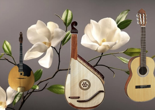 Онлайн концерт від народного струнного