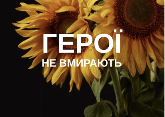 До Дня памʼяті захисників України